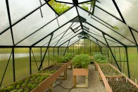 201106097568pan The Greenhouse
