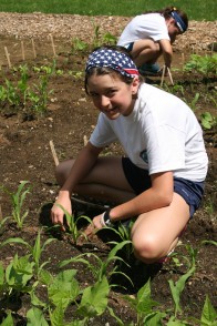 Camper planting vegetables