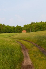 Jog from the Barn